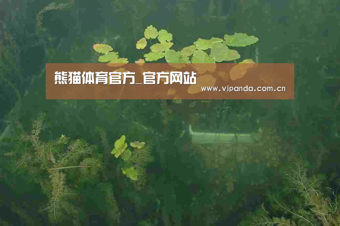 案例展示三(图1)