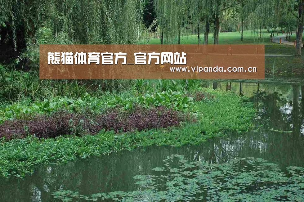 案例展示一(图1)