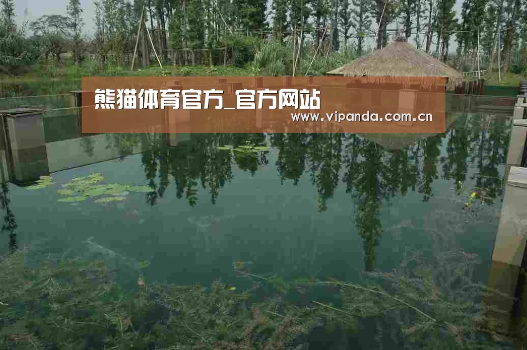 案例展示二(图1)