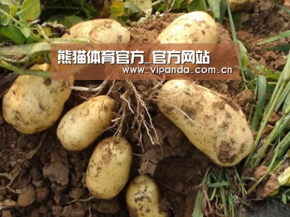 种植基地六