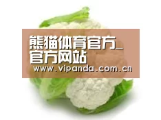 产品名称九