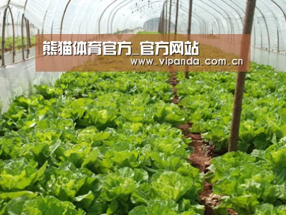 种植基地五