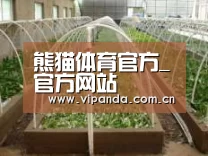 环境展示五