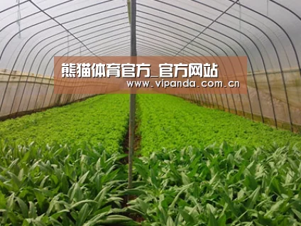 种植基地四