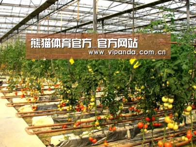 种植基地二