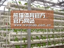 环境展示六