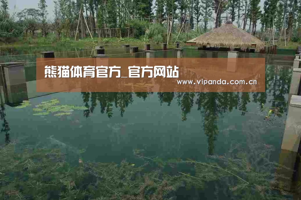 案例展示二