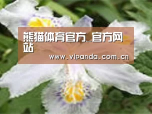 产品名称二