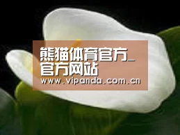 产品名称七