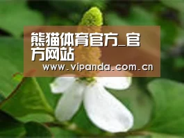 产品名称三
