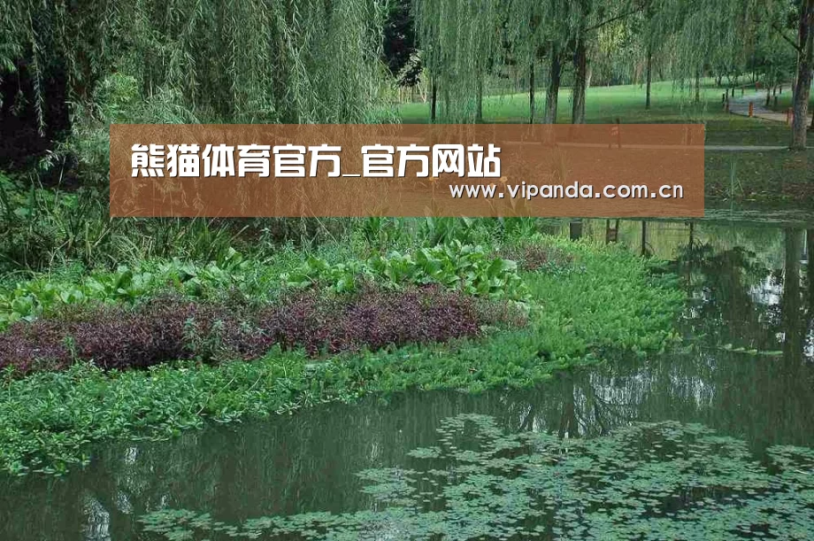 案例展示一