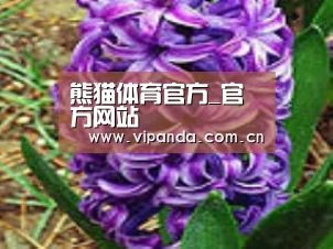 产品名称八