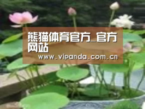 产品名称一
