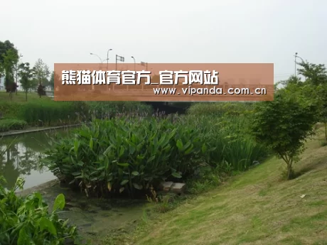 案例展示四