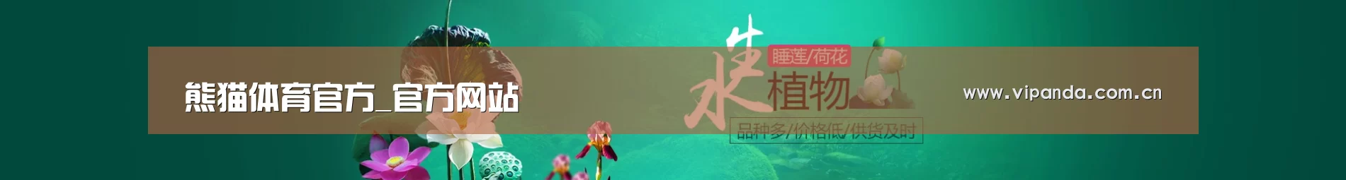 鲜花水草花卉网站模板