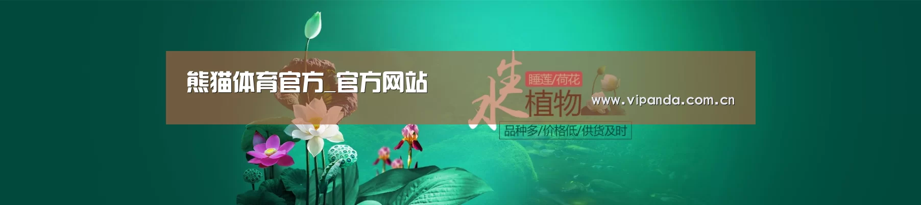 鲜花水草花卉网站模板