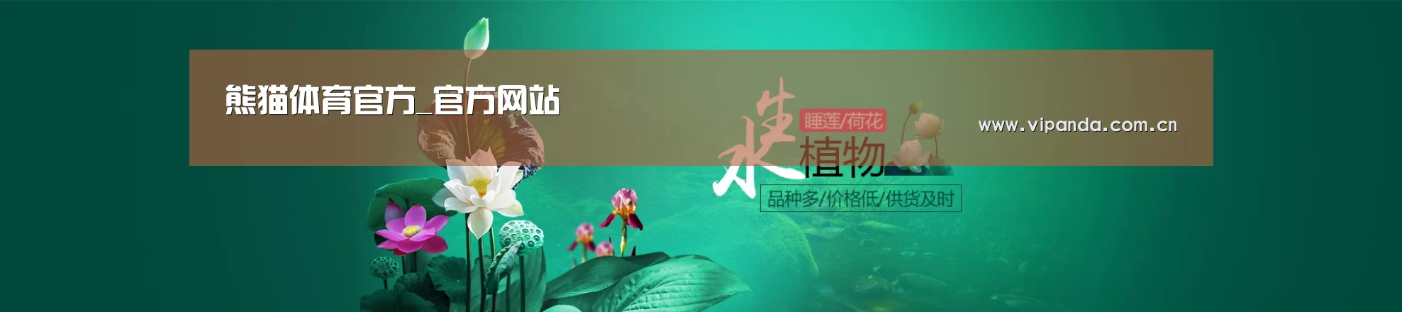 鲜花水草花卉网站模板