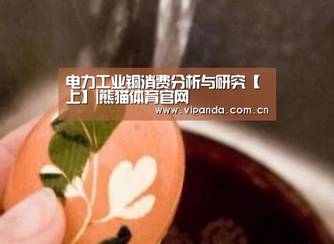 电力工业铜消费分析与研究【上】|熊猫体育官网(图4) 熊猫体育