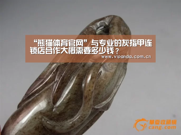 “熊猫体育官网”与专业的灰指甲连锁店合作大概需要多少钱?(图3) 熊猫官方