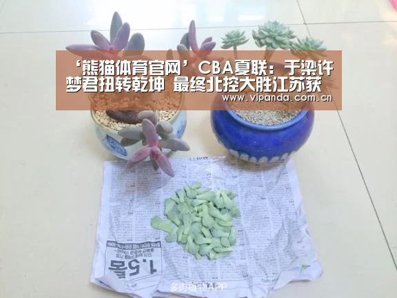 ‘熊猫体育官网’CBA夏联:于梁许梦君扭转乾坤 最终北控大胜江苏获第五名(图1) 熊猫官方