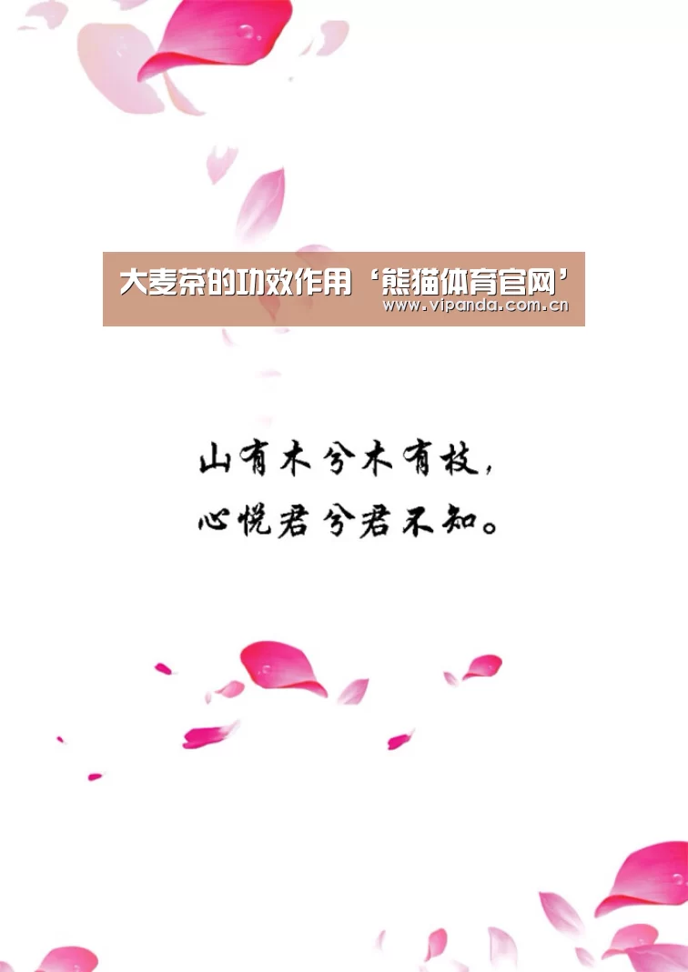 熊猫官方