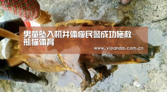 熊猫体育平台