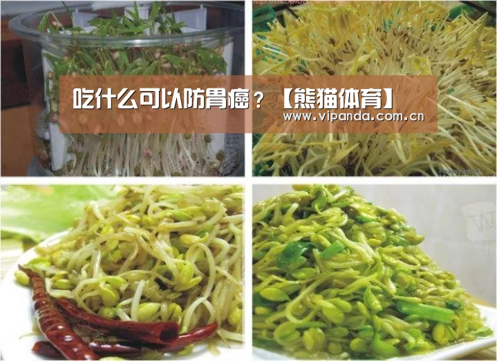 吃什么可以防胃癌?【熊猫体育】(图3) 熊猫体育官网