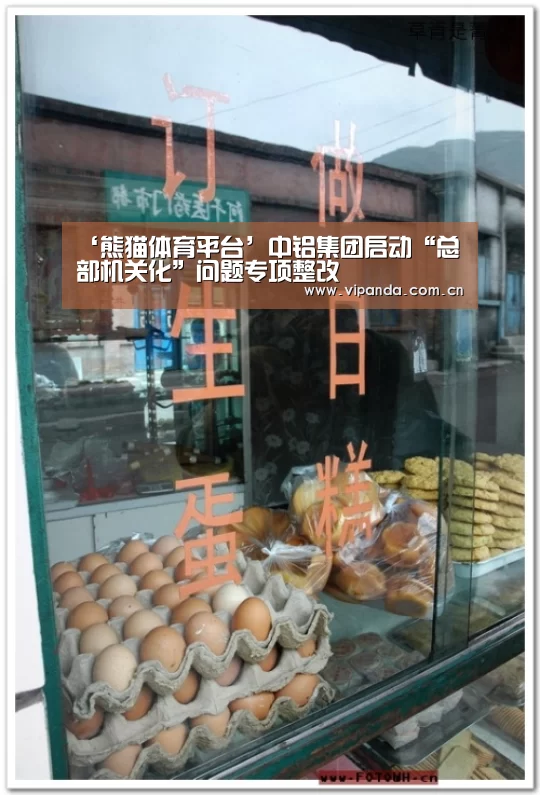 熊猫体育官网