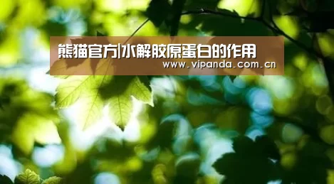 熊猫官方|水解胶原蛋白的作用(图3) 熊猫体育平台