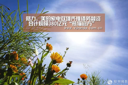 格力、美的家电双雄齐推债务融资 合计规模380亿元“熊猫官方”(图1) 熊猫体育平台