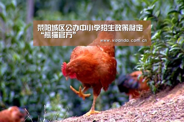 荥阳城区公办中小学招生政策敲定“熊猫官方”(图4) 熊猫体育