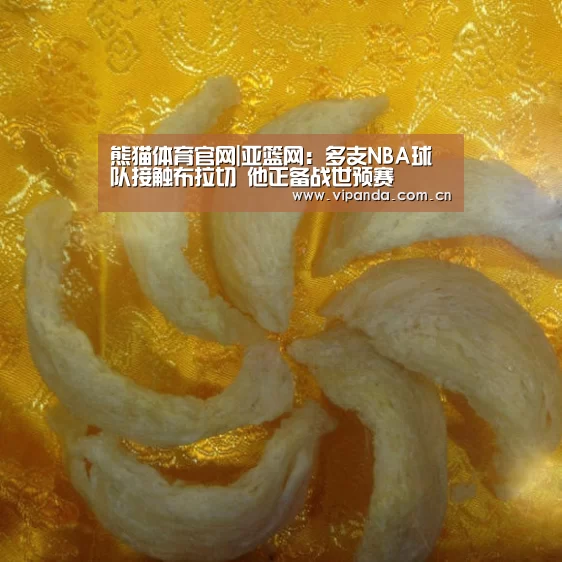 熊猫体育官网|亚篮网:多支NBA球队接触布拉切 他正备战世预赛(图1) 熊猫体育平台