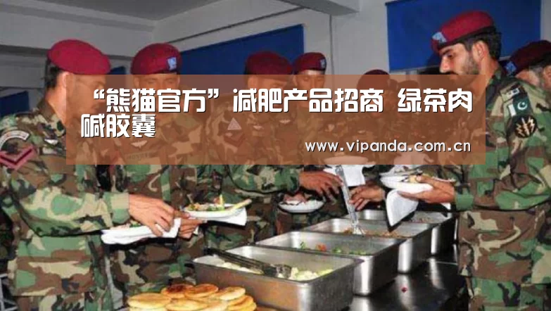“熊猫官方”减肥产品招商 绿茶肉碱胶囊(图4) 熊猫体育平台