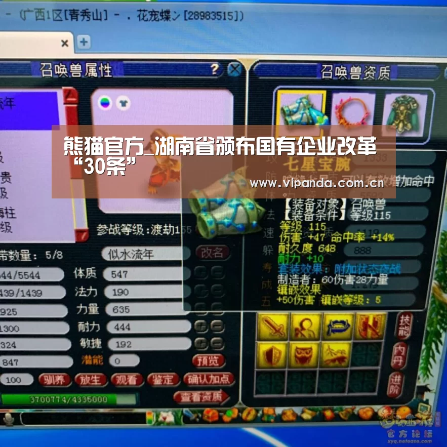 熊猫官方_湖南省颁布国有企业改革“30条”(图2) 熊猫官方