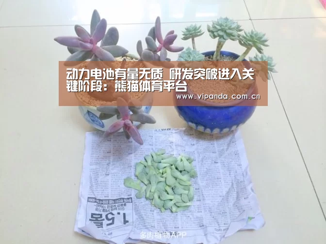 动力电池有量无质 研发突破进入关键阶段:熊猫体育平台(图3) 熊猫体育官网