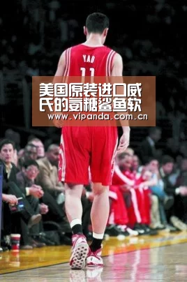 美国原装进口威氏的氨糖鲨鱼软骨片 修复关节软骨|熊猫官方(图1) 熊猫体育平台