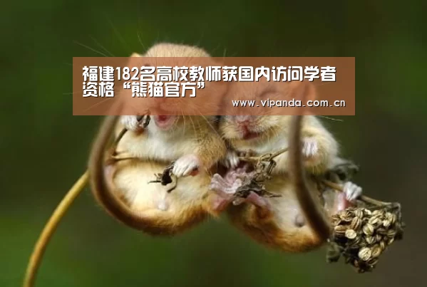 福建182名高校教师获国内访问学者资格“熊猫官方”(图3) 熊猫体育官网