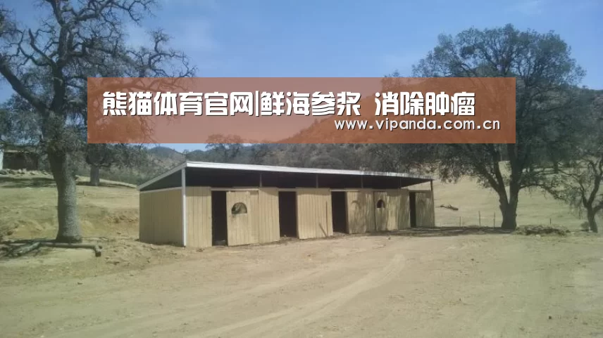 熊猫体育官网|鲜海参浆 消除肿瘤(图2) 熊猫体育