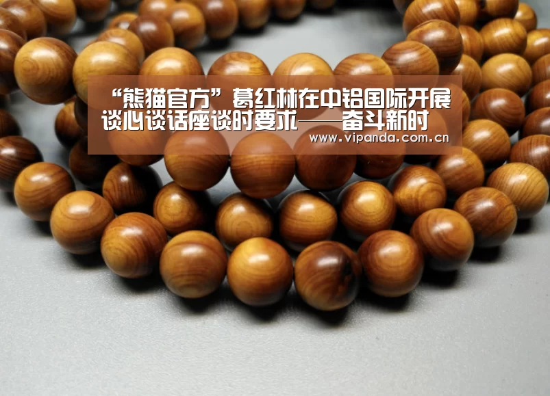 “熊猫官方”葛红林在中铝国际开展谈心谈话座谈时要求——奋斗新时代 建设世界一流有色工程技术公司(图4) 熊猫官方