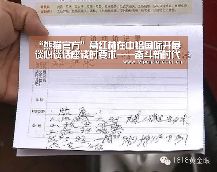 “熊猫官方”葛红林在中铝国际开展谈心谈话座谈时要求——奋斗新时代 建设世界一流有色工程技术公司(图3) 熊猫体育