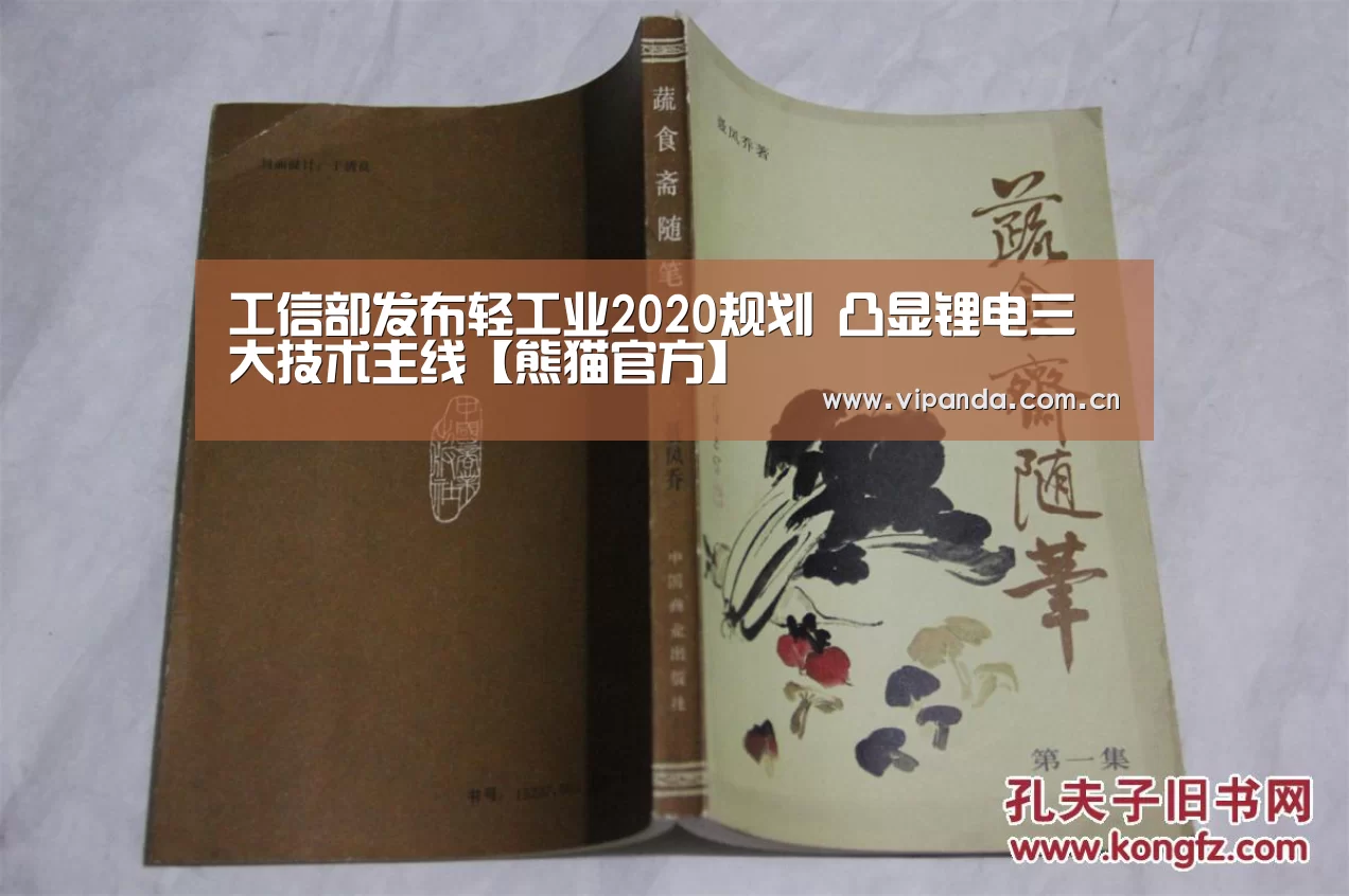 工信部发布轻工业2020规划 凸显锂电三大技术主线【熊猫官方】(图2) 熊猫体育官网
