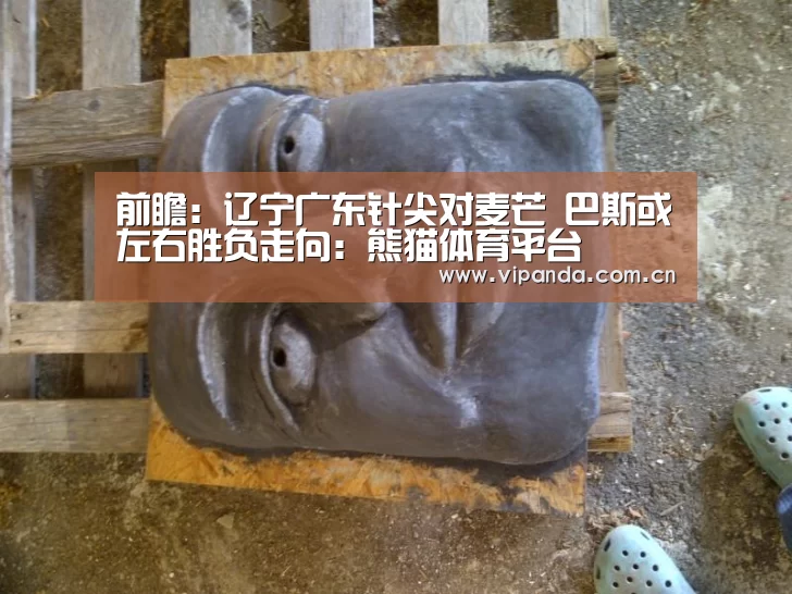 熊猫体育