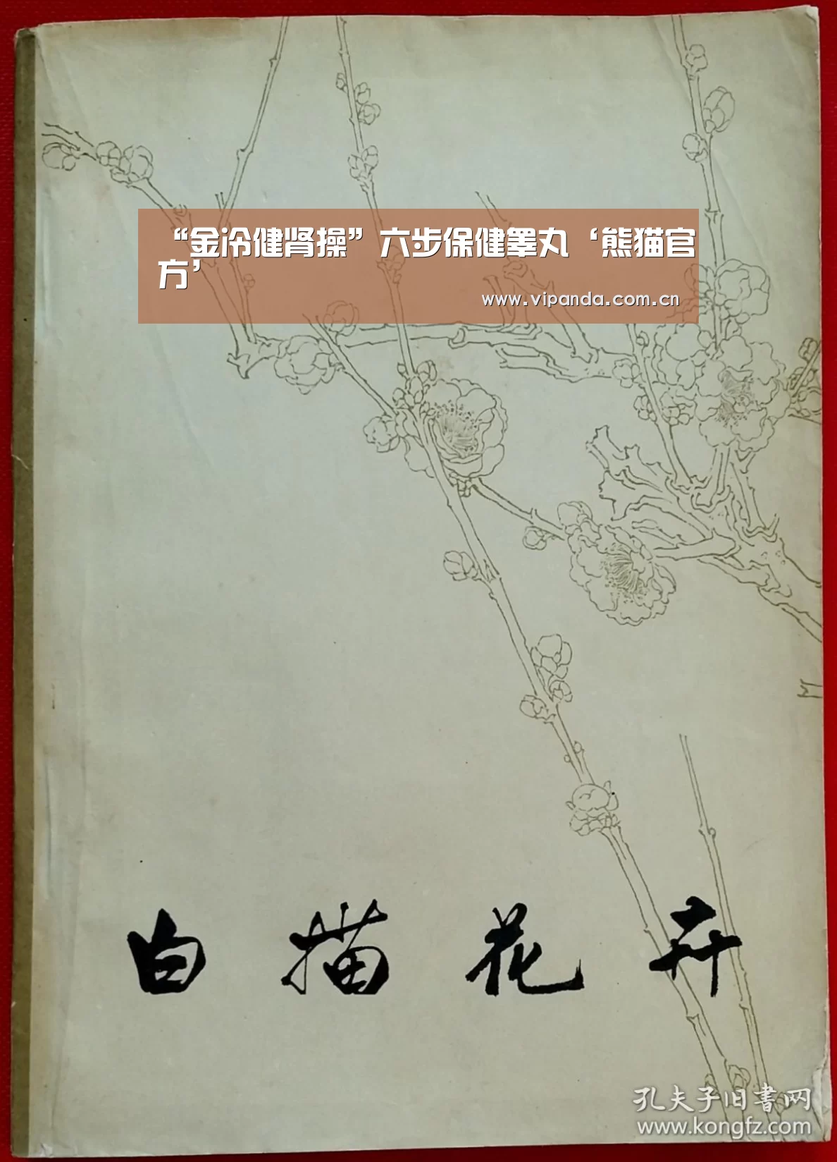 熊猫体育官网